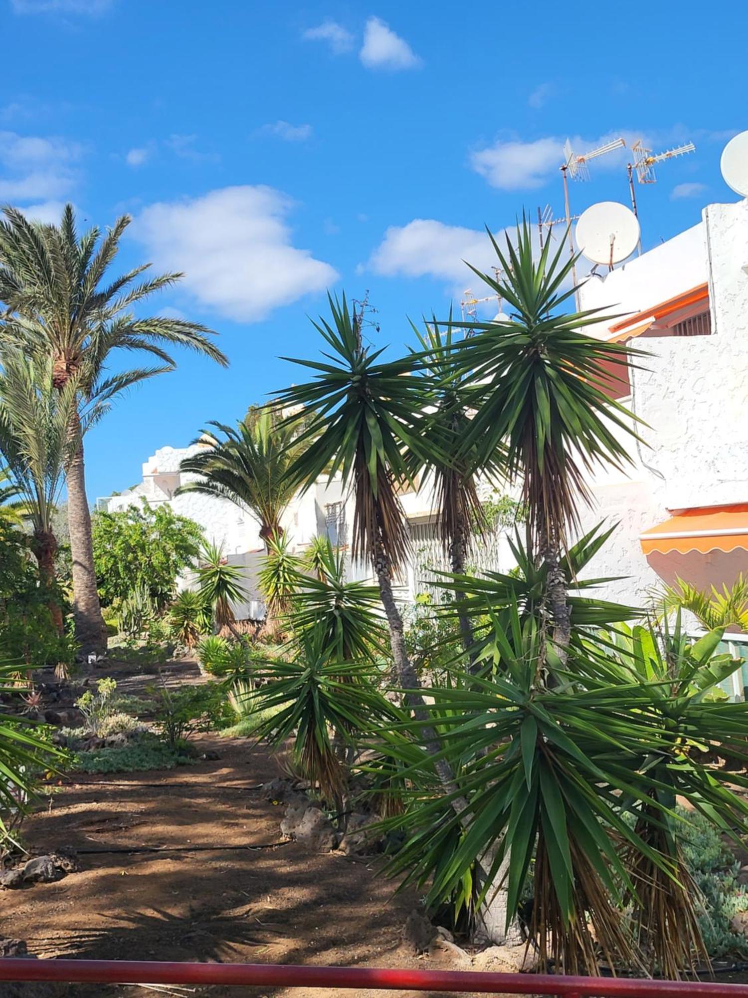 Apartmán Casa Iry Costa Del Silencio Exteriér fotografie